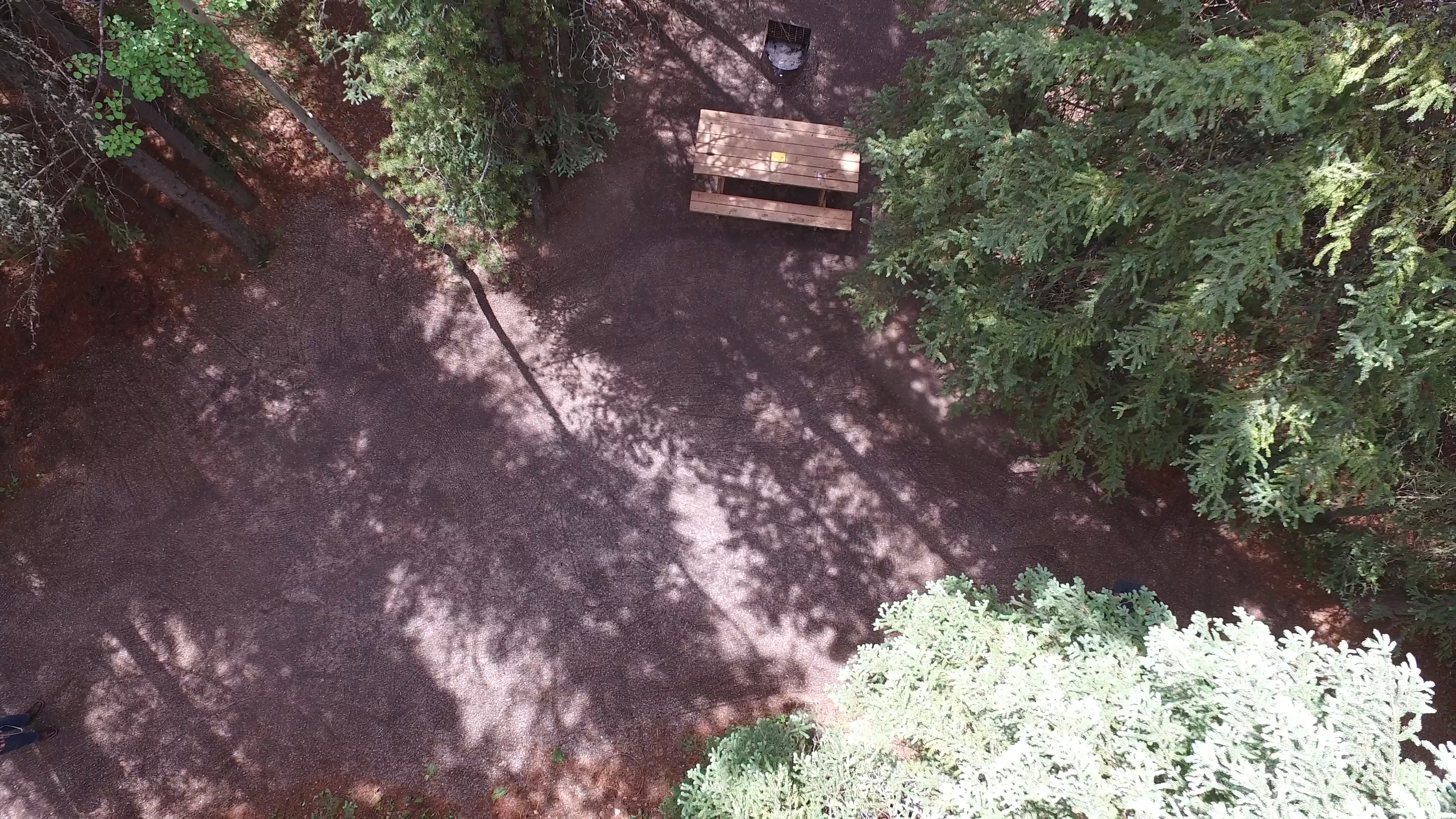 Campsite 16 in Loop F