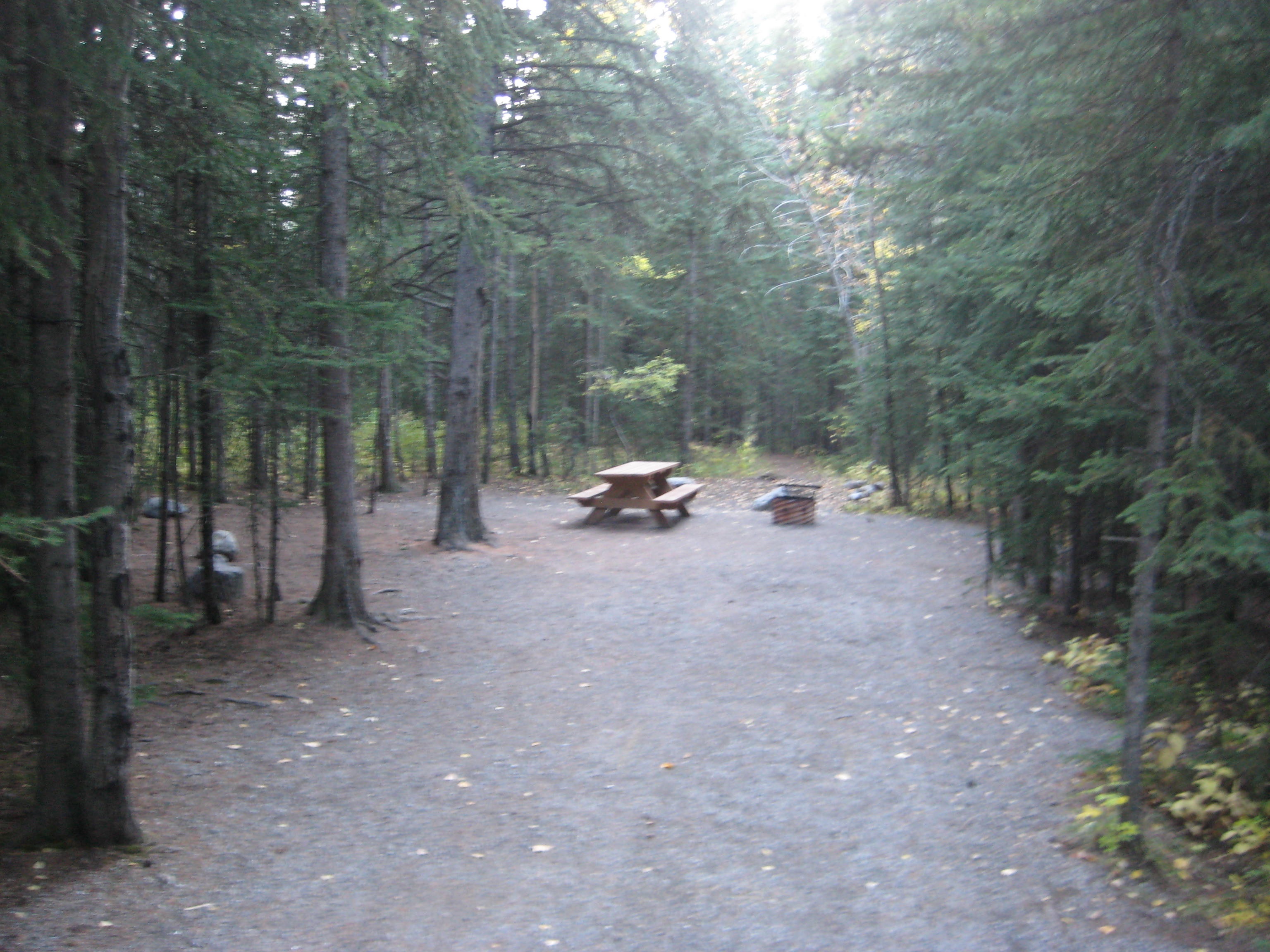 Campsite 17 in Loop F