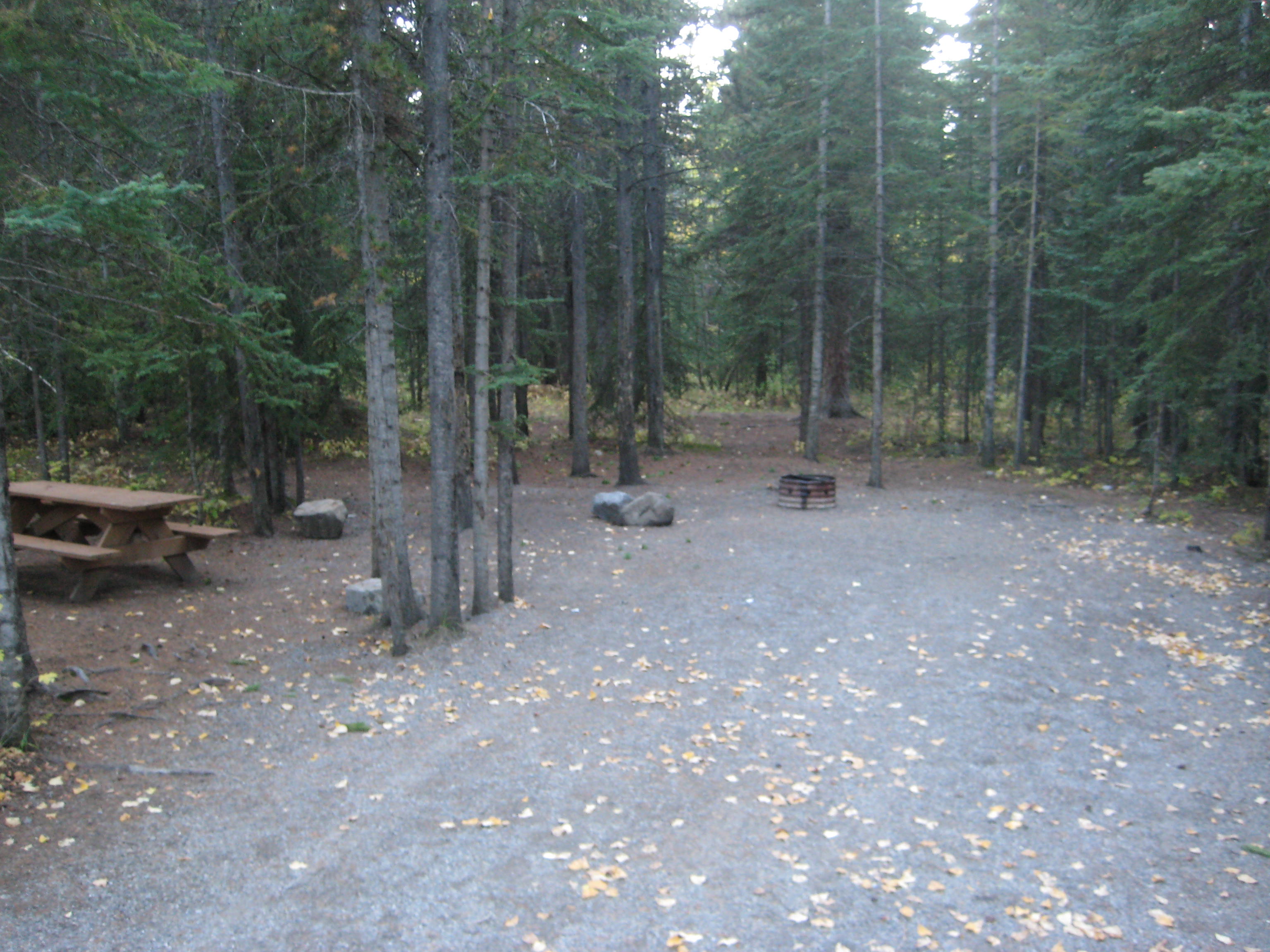 Campsite 18 in Loop F