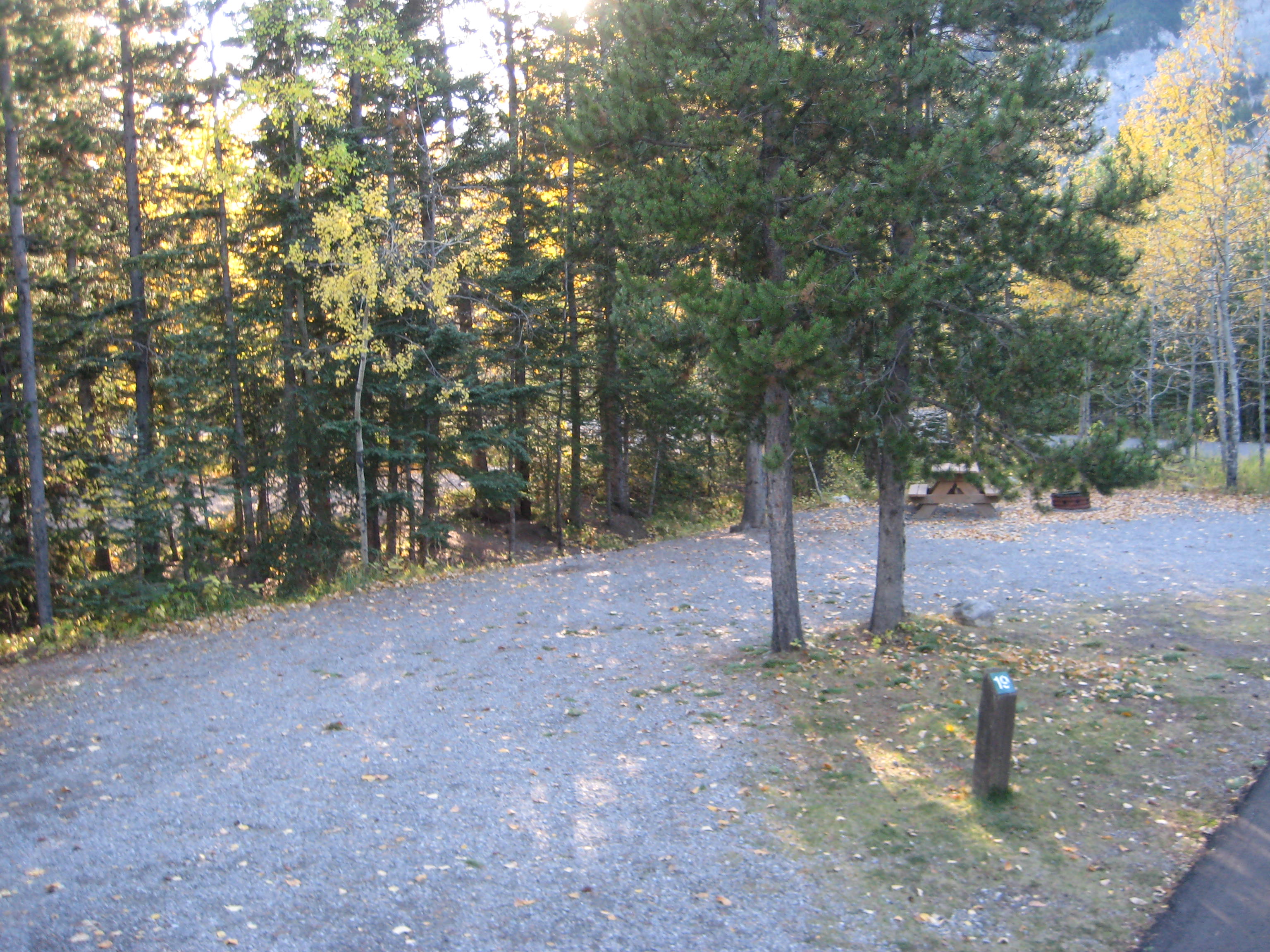 Campsite 19 in Loop F