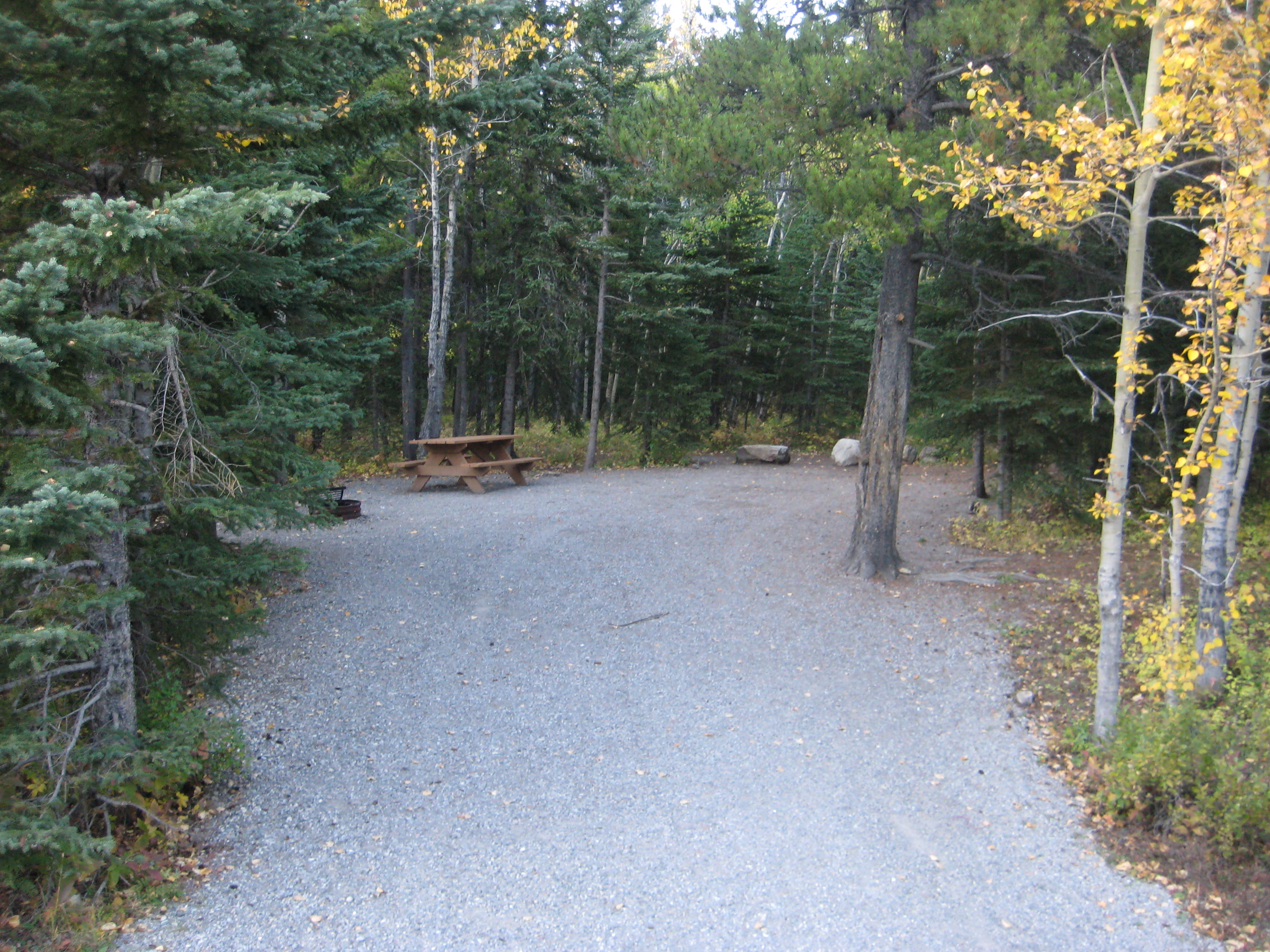 Campsite 20 in Loop F