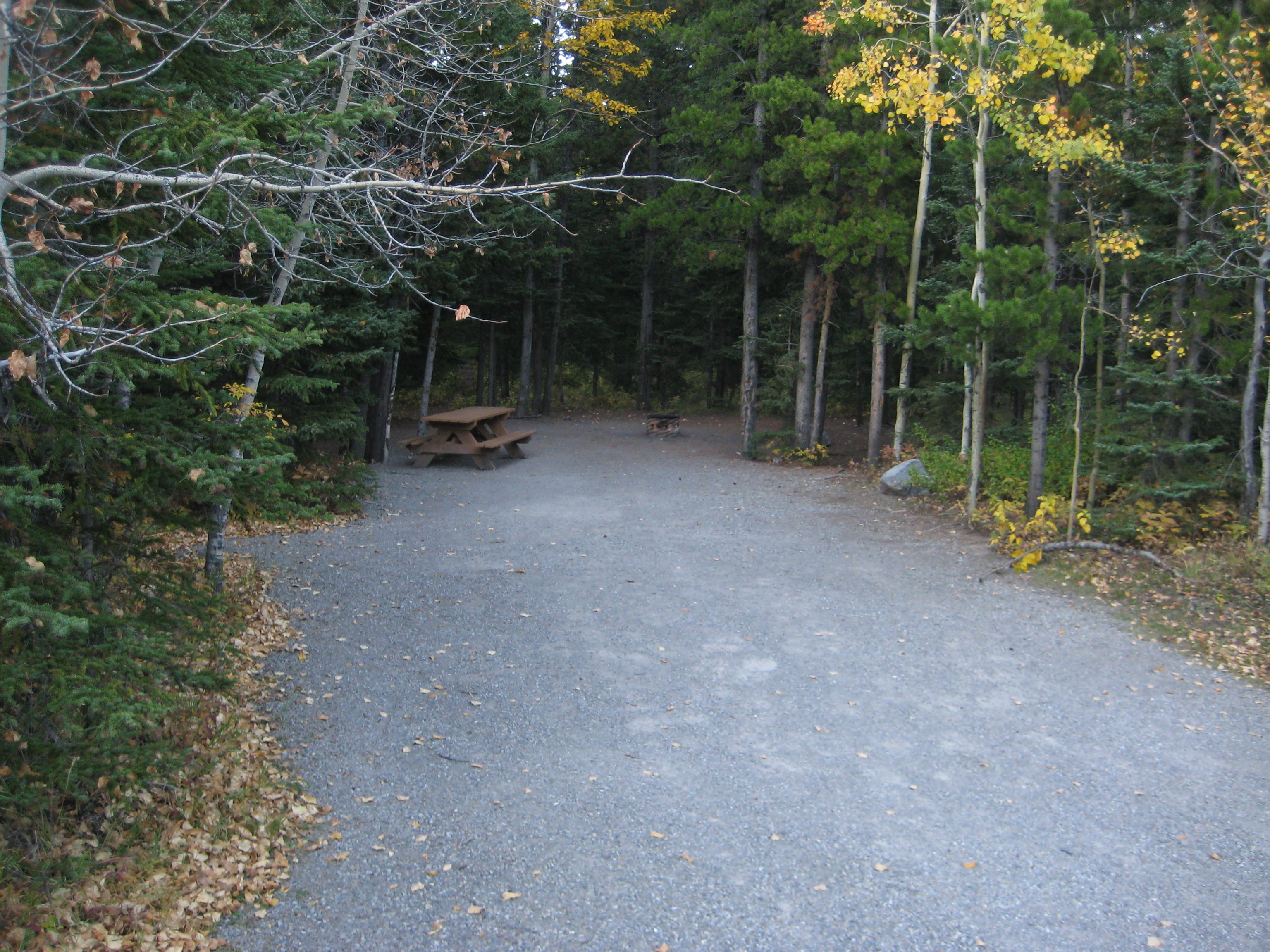 Campsite 21 in Loop F
