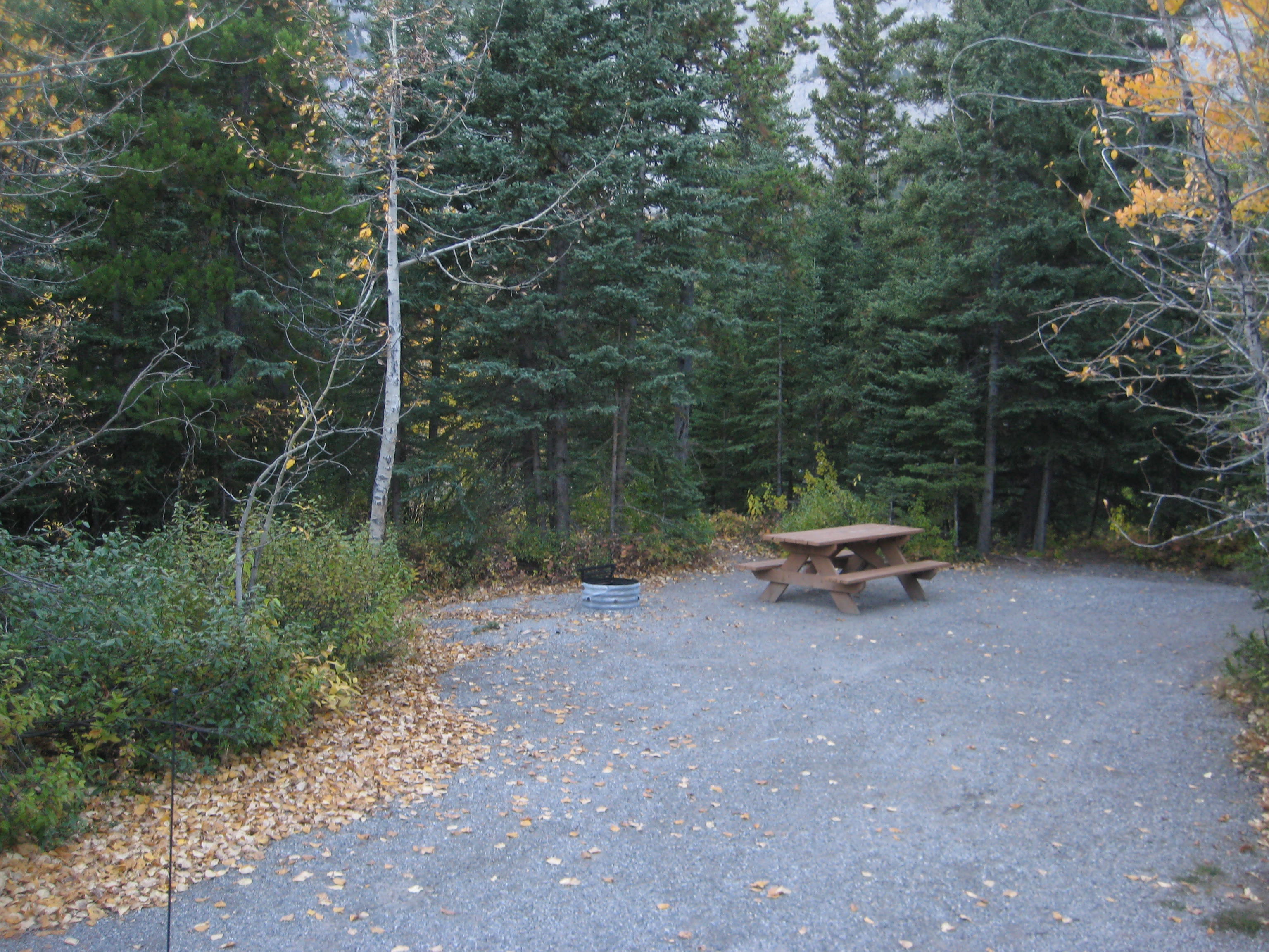 Campsite 22 in Loop F
