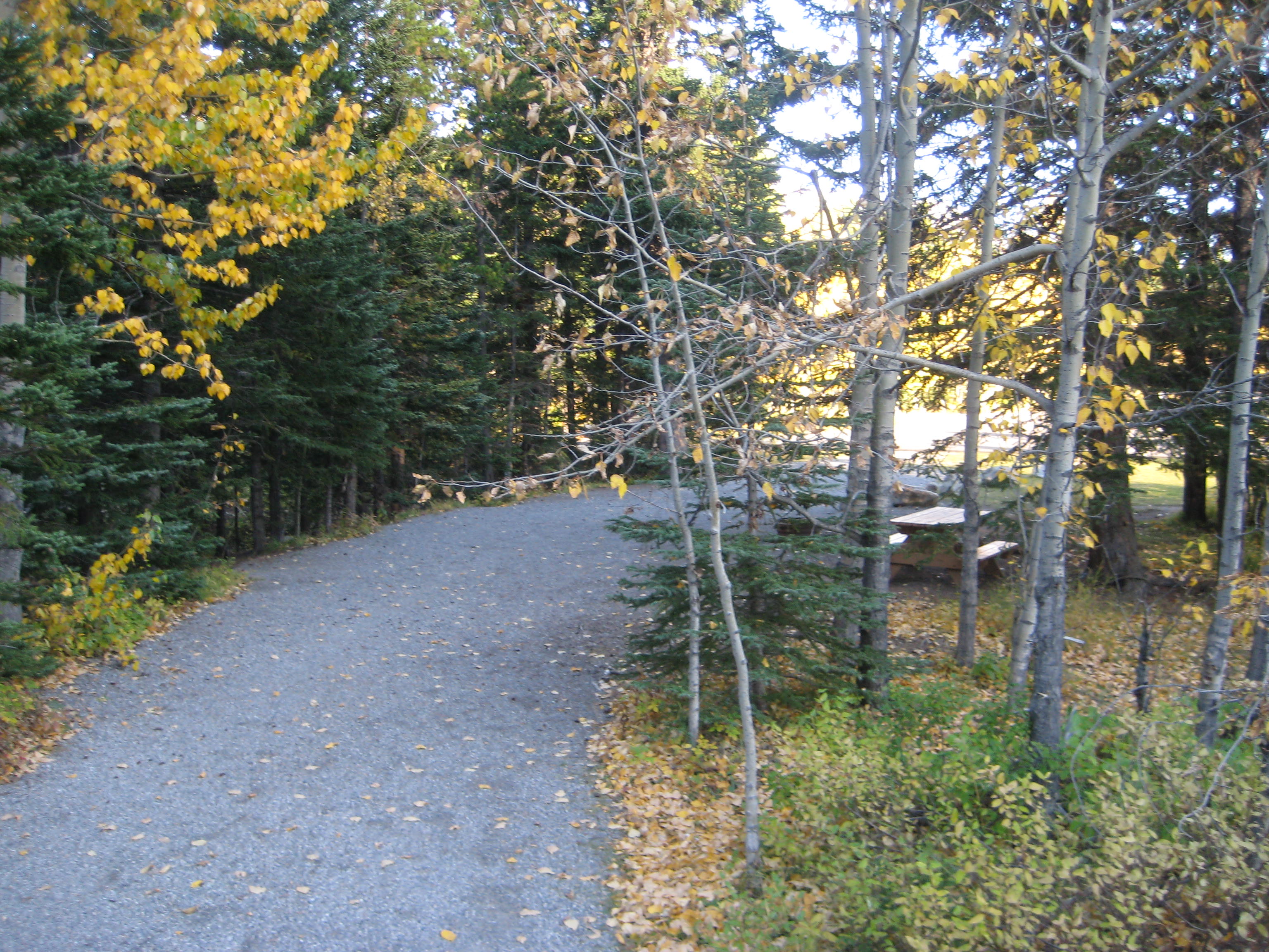 Campsite 23 in Loop F