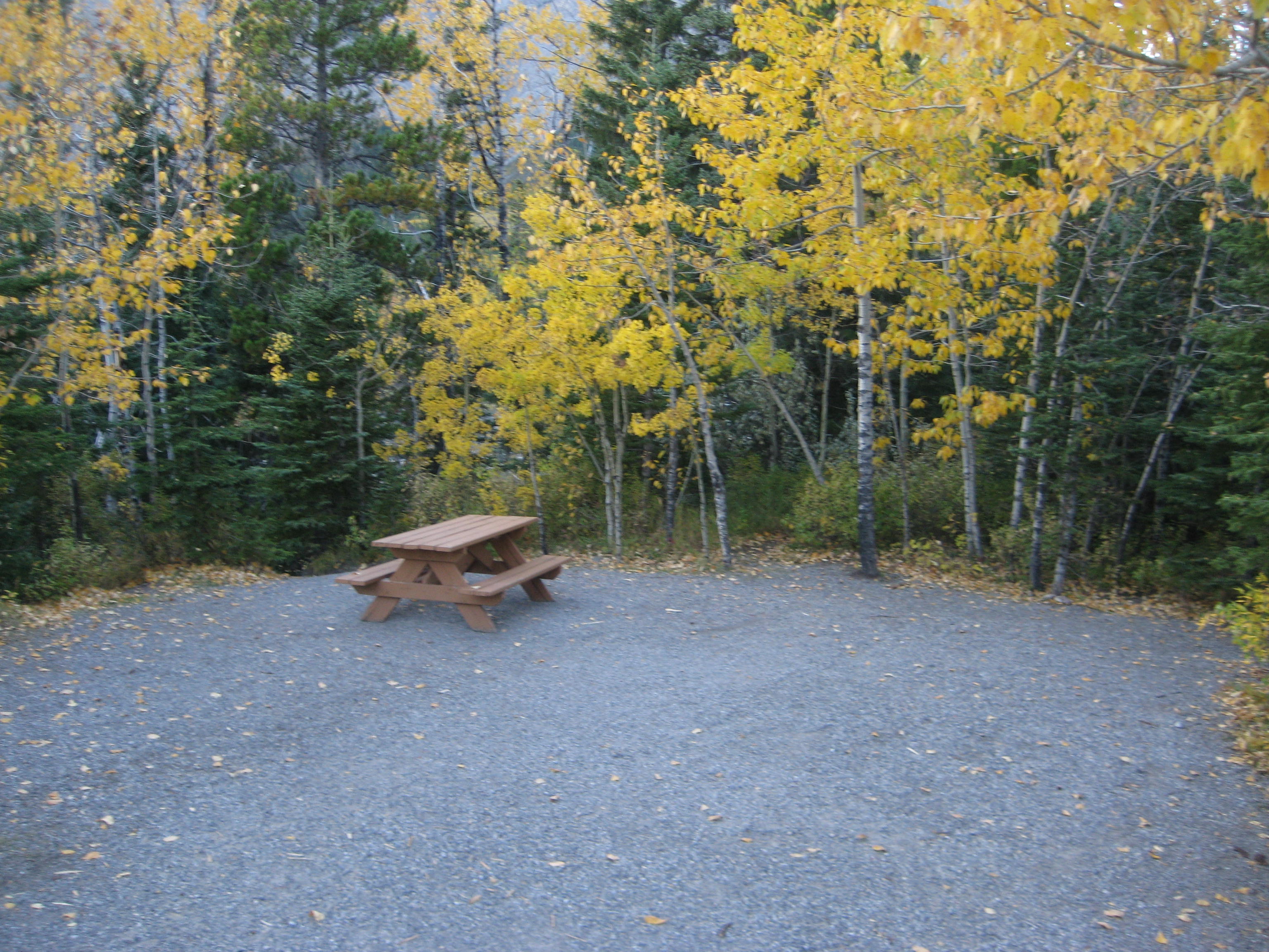 Campsite 24 in Loop F