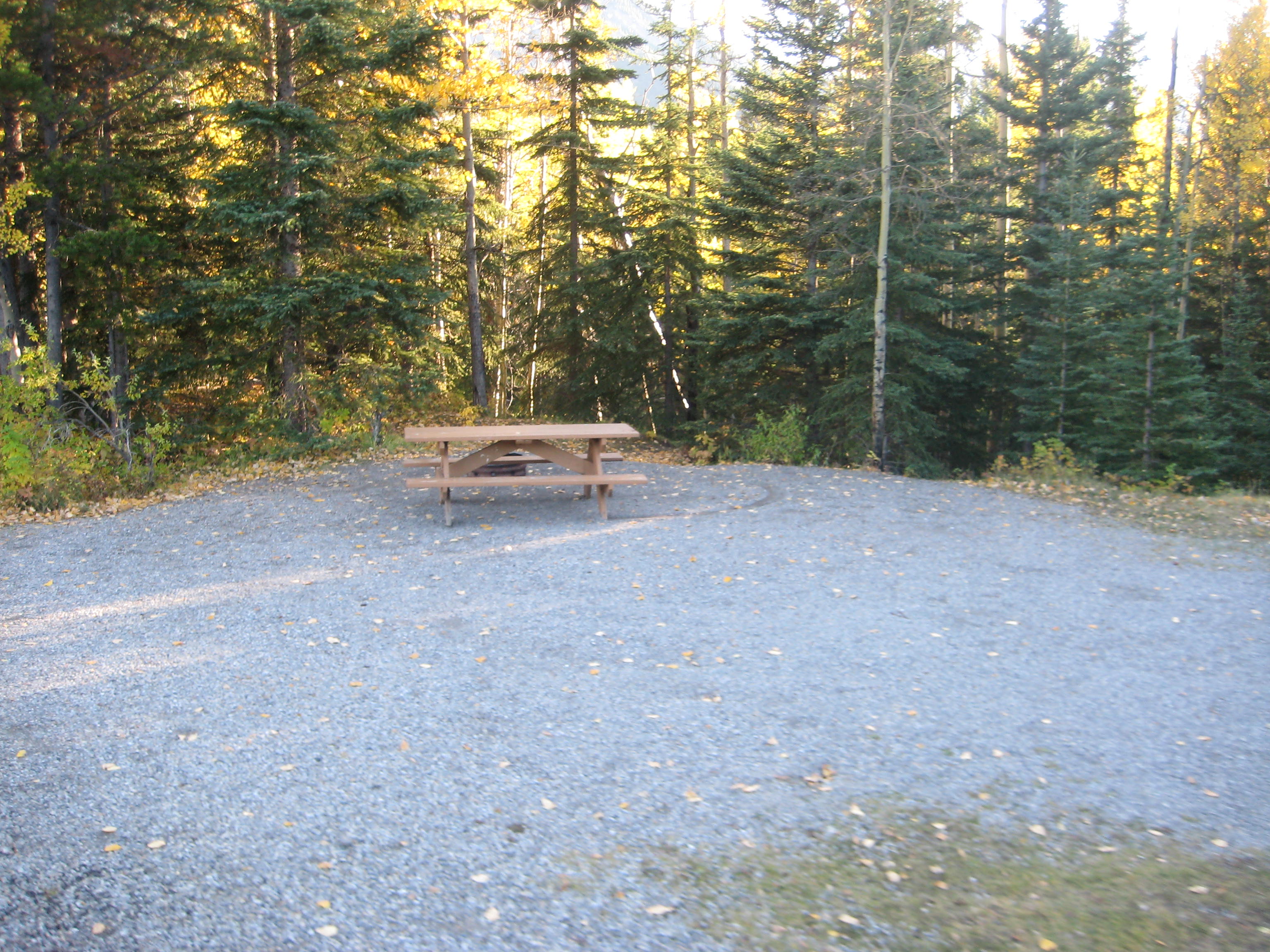 Campsite 25 in Loop F