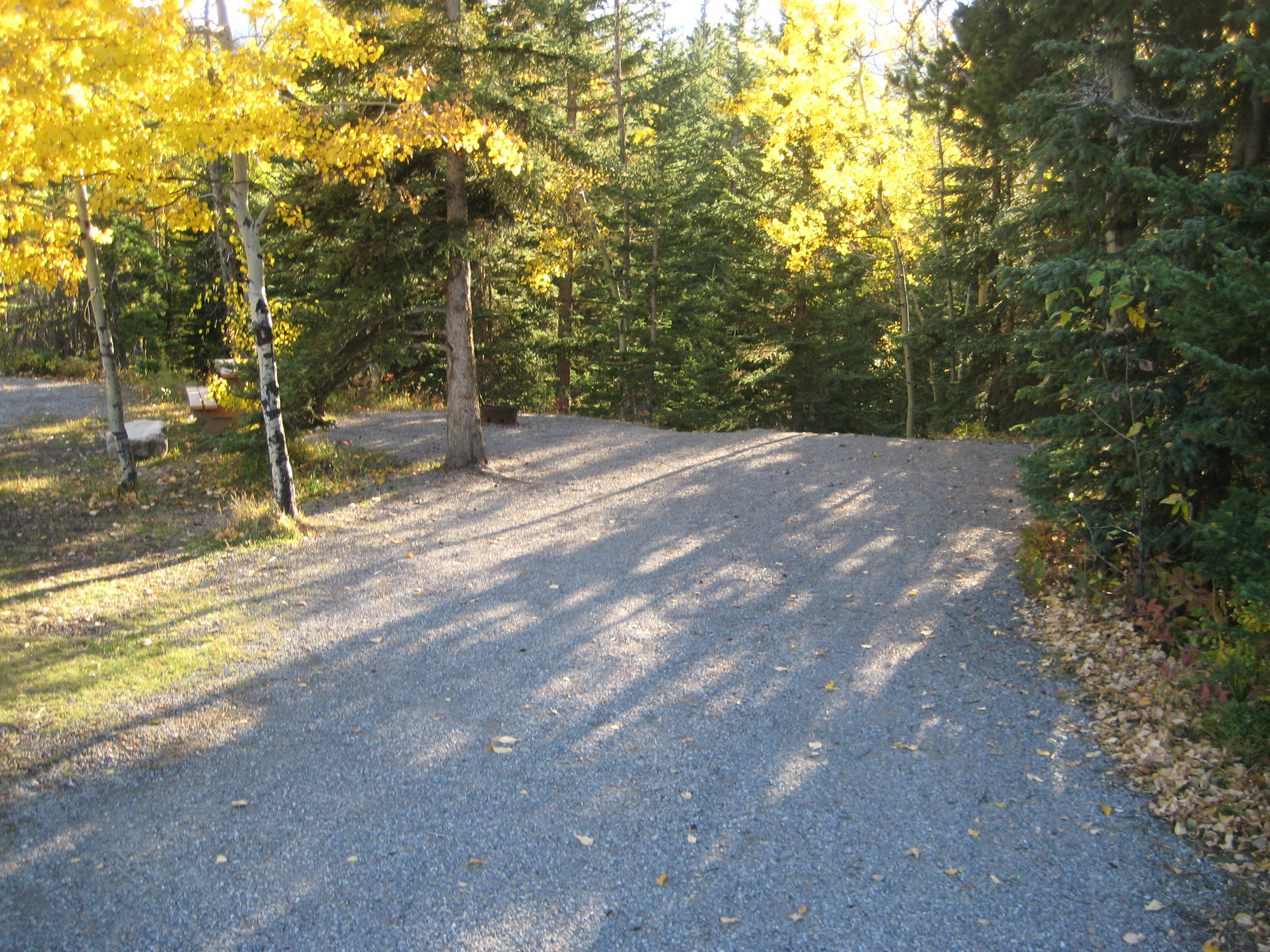Campsite 26 in Loop F