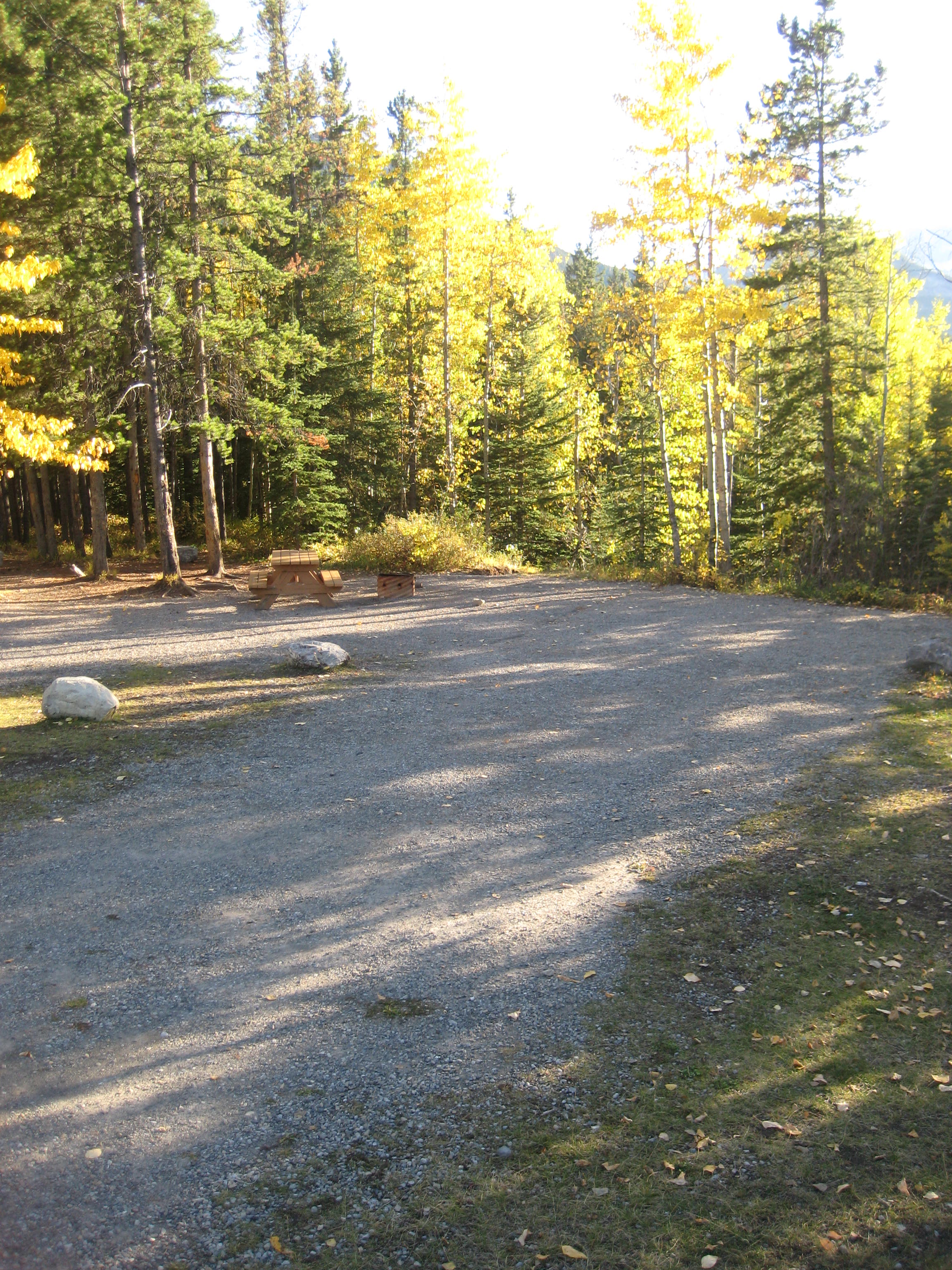 Campsite 27 in Loop F