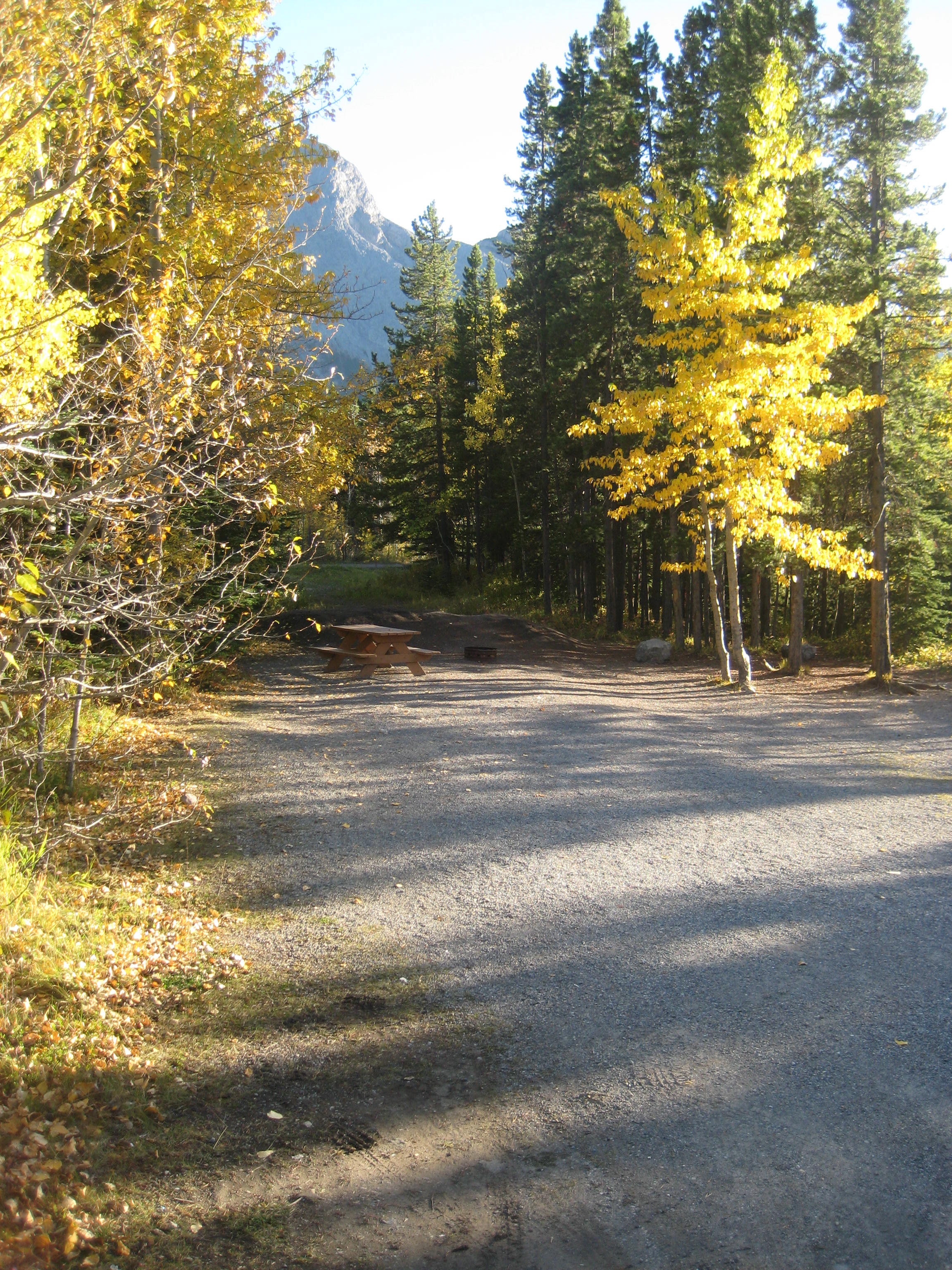 Campsite 28 in Loop F