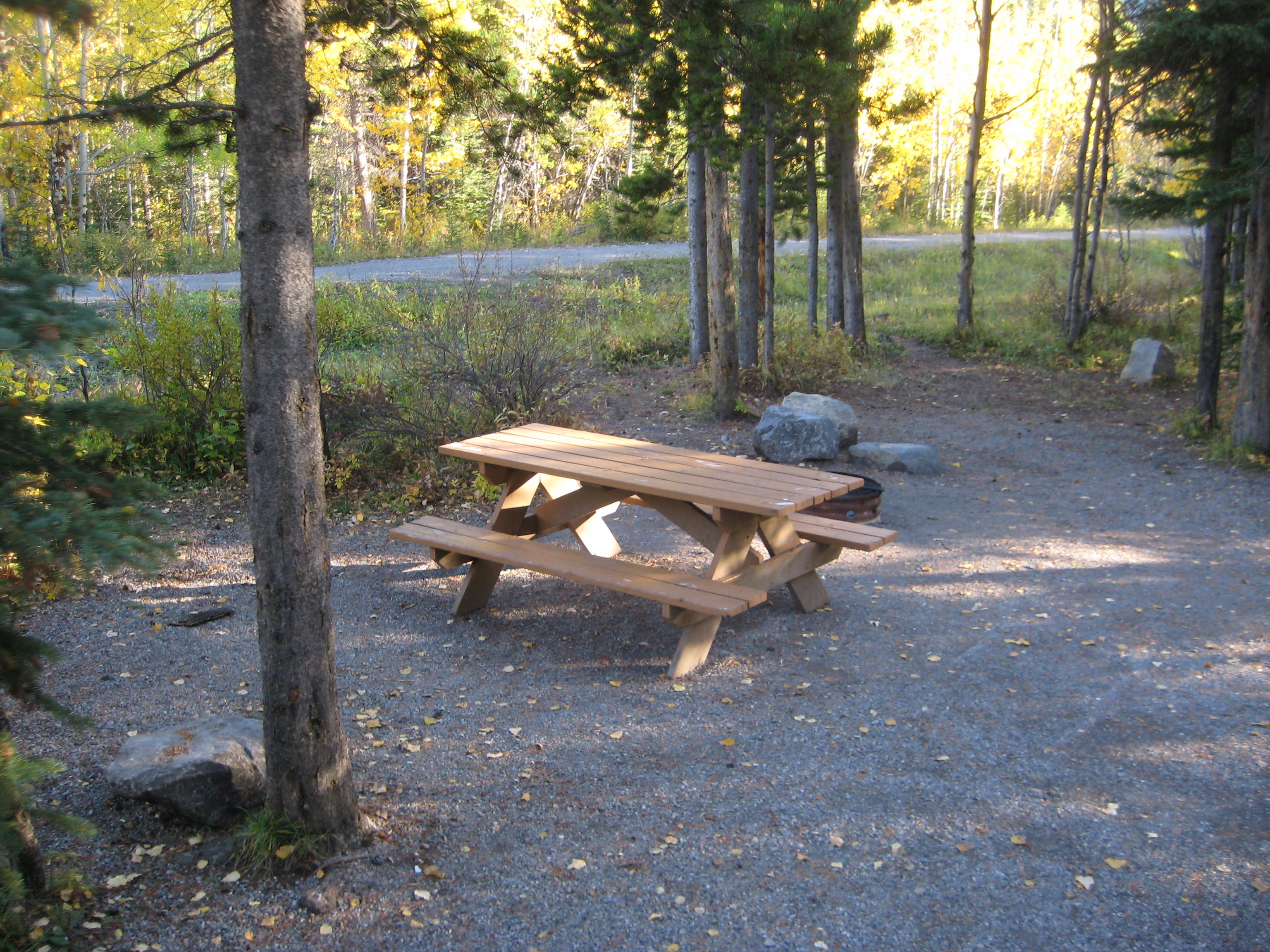 Campsite 29 in Loop F