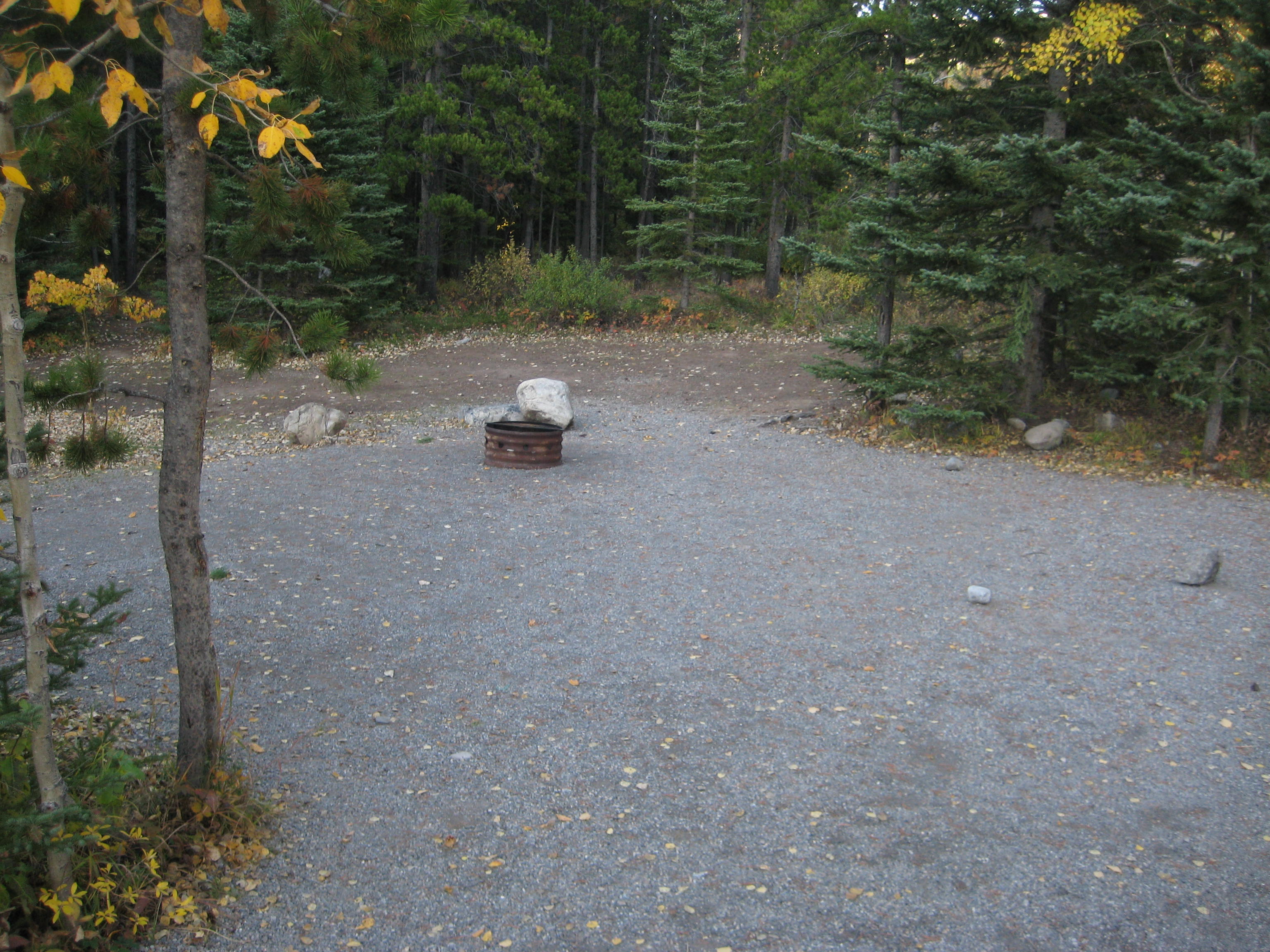 Campsite 30 in Loop F