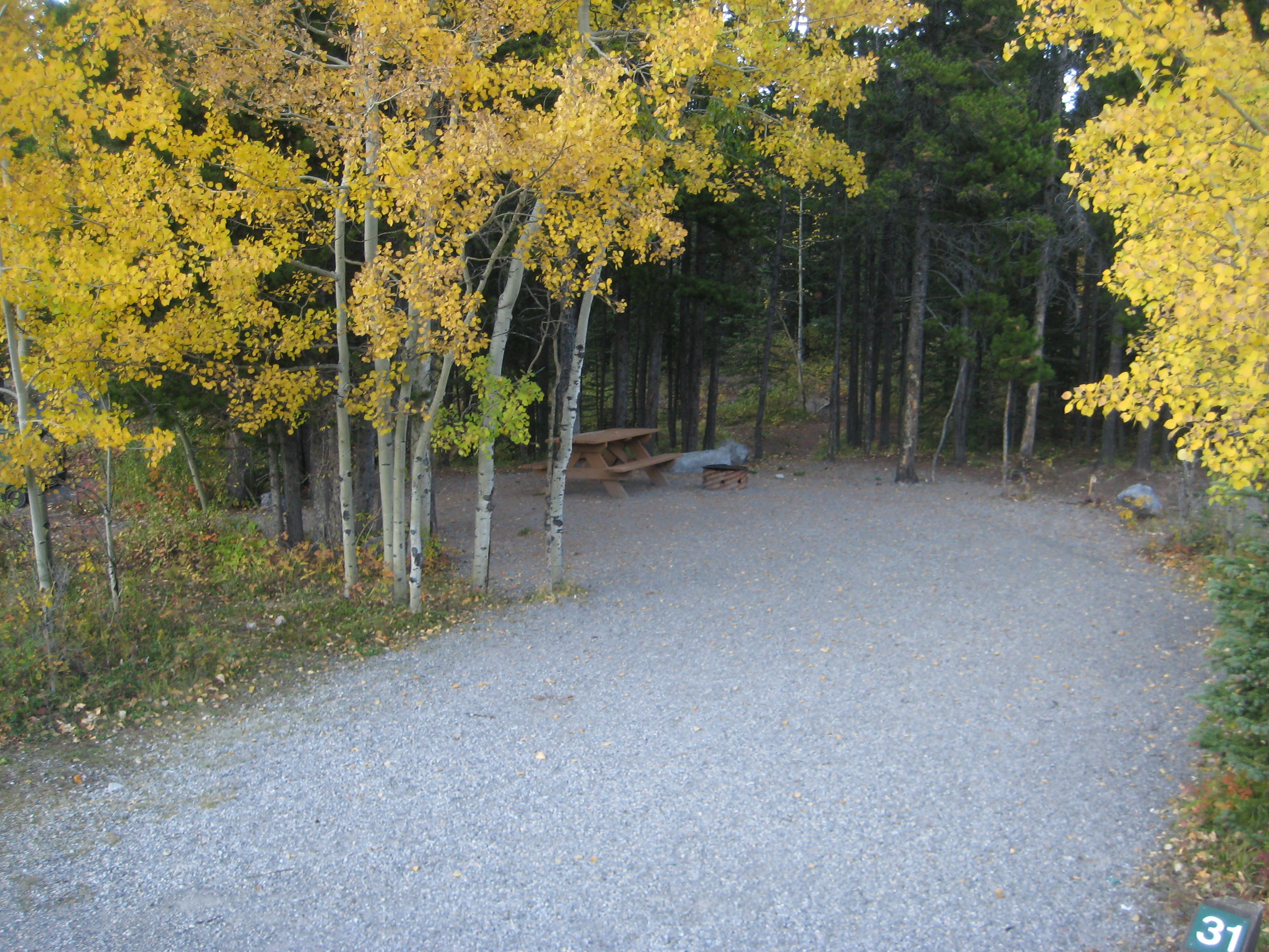 Campsite 32 in Loop F