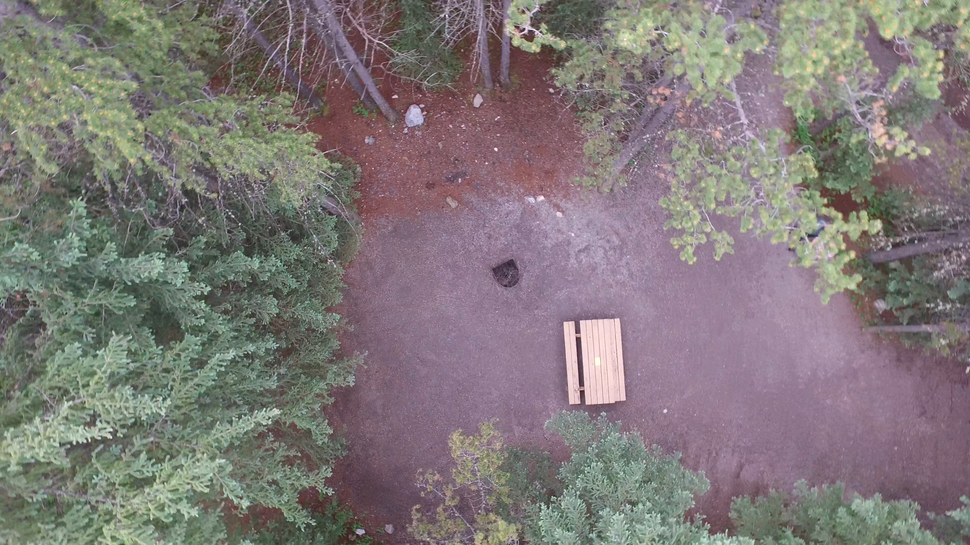 Campsite 6 in Loop F