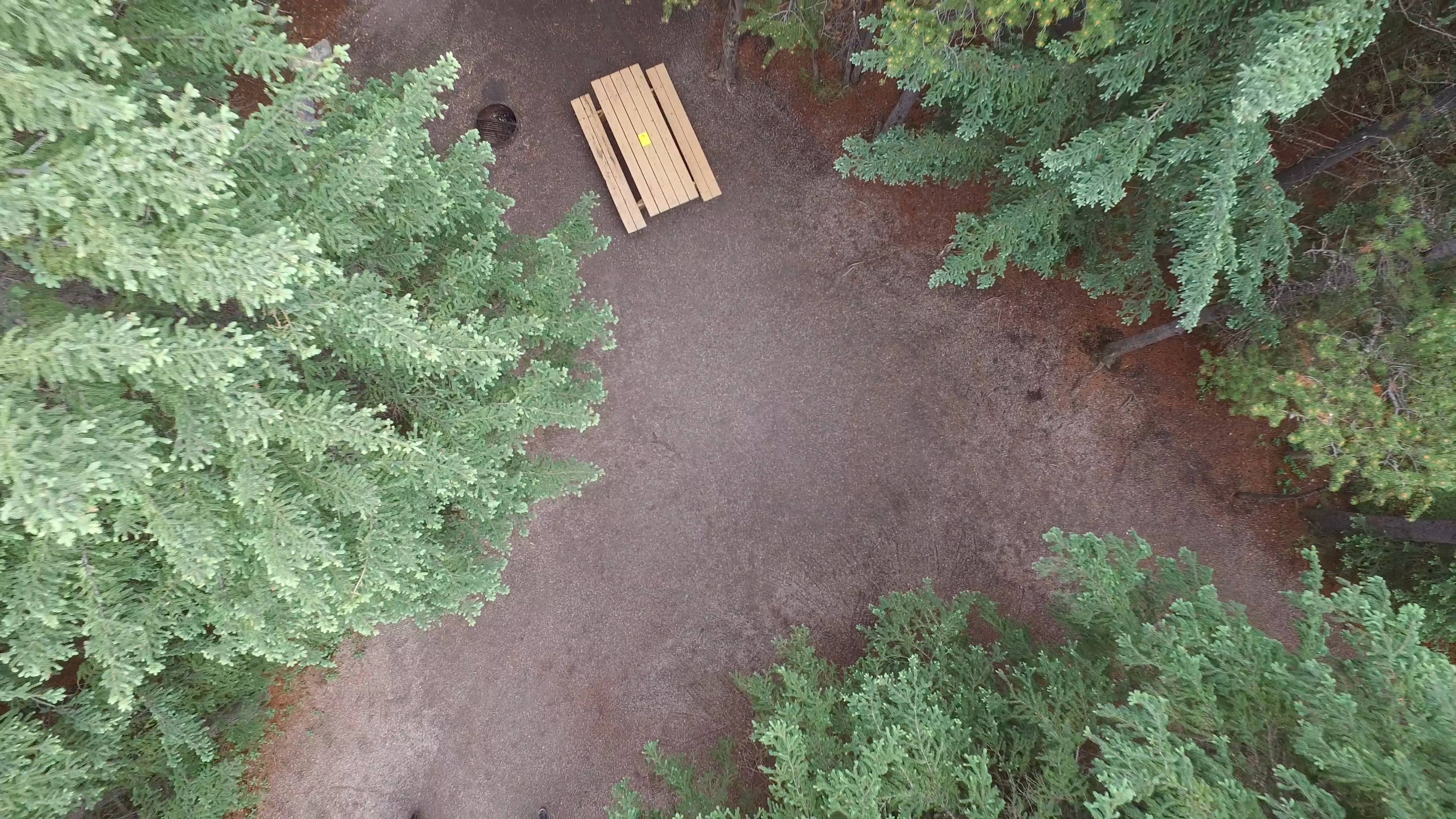 Campsite 7 in Loop F