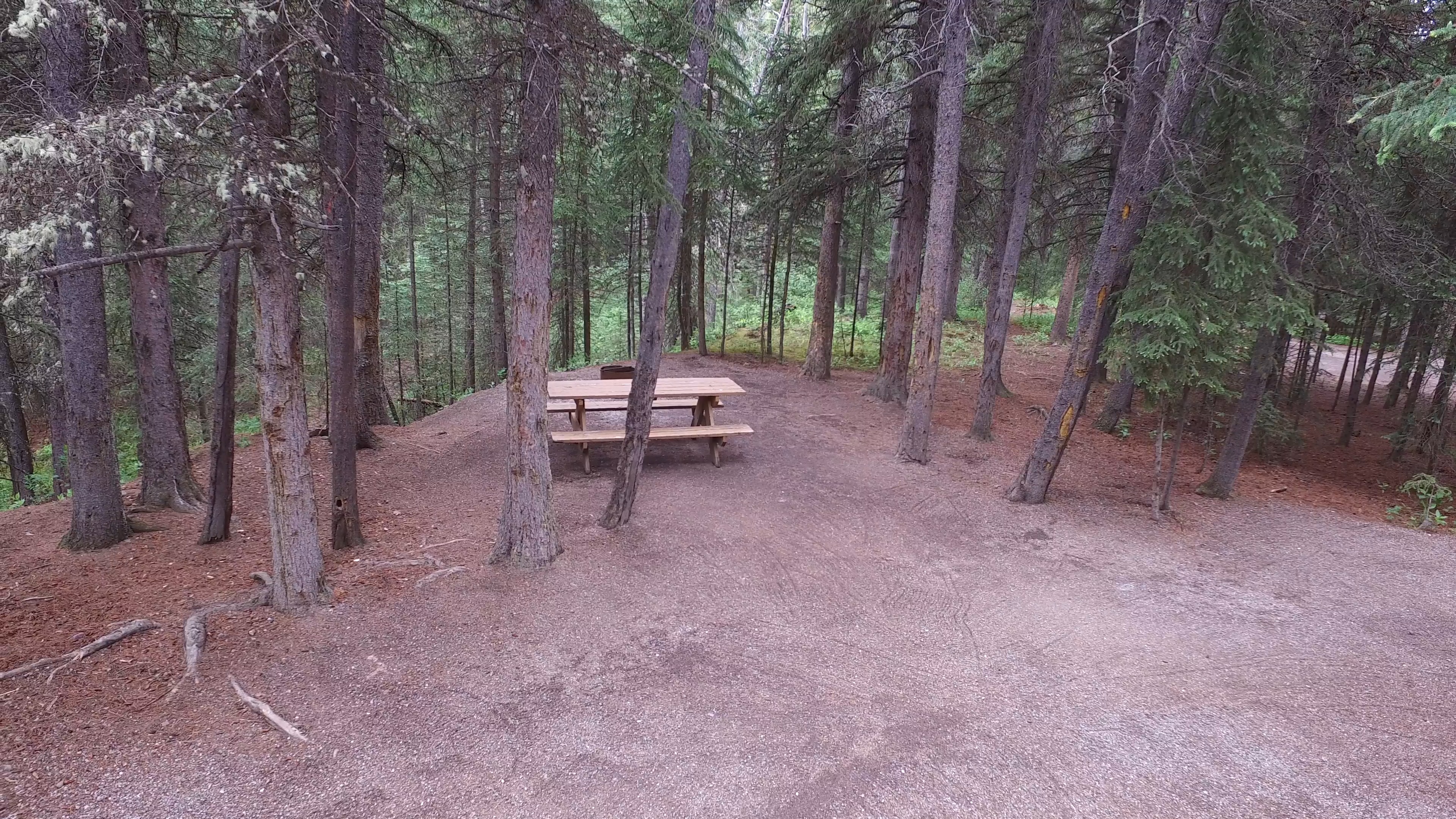 Campsite 8 in Loop F