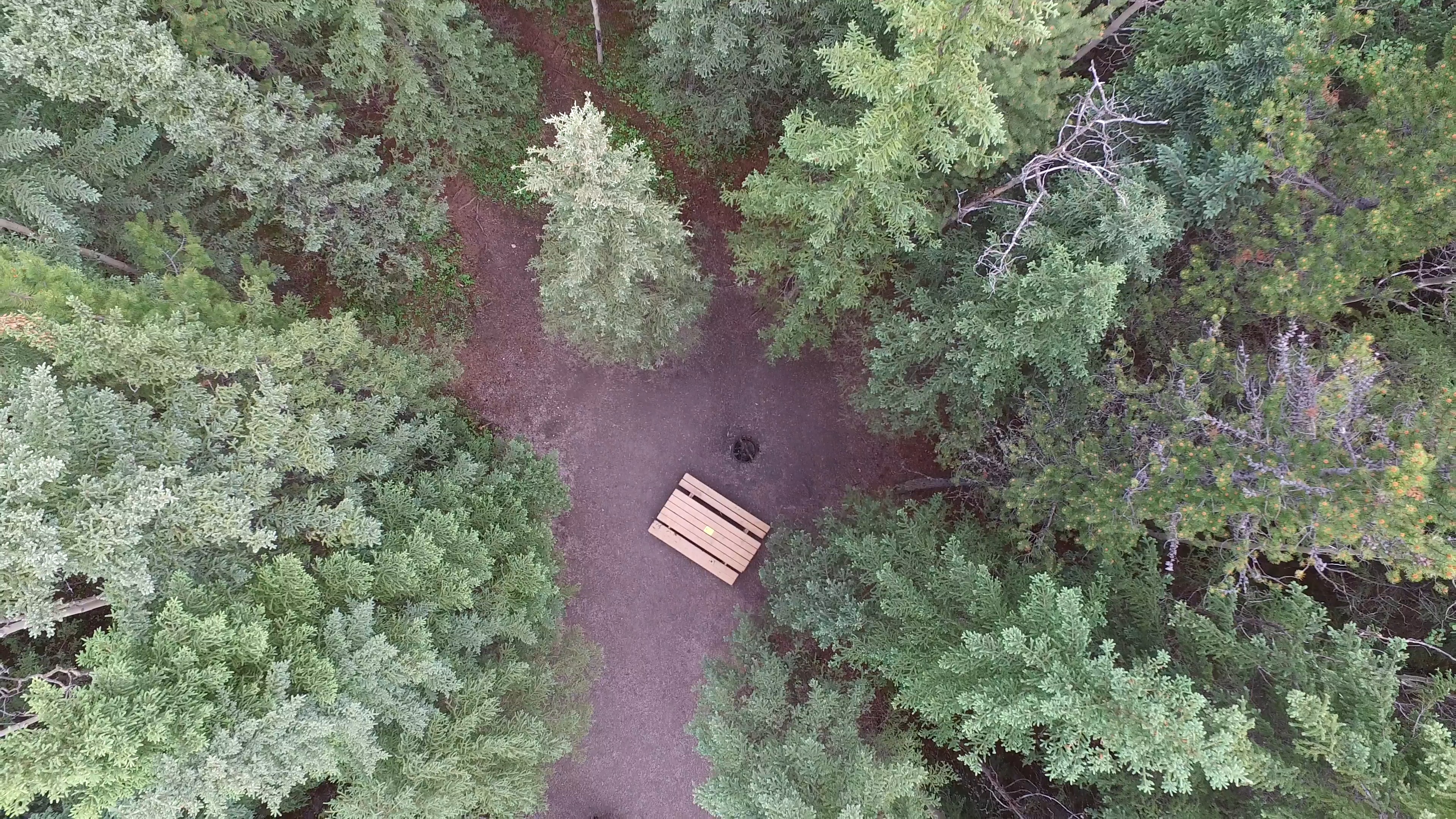 Campsite 9 in Loop F